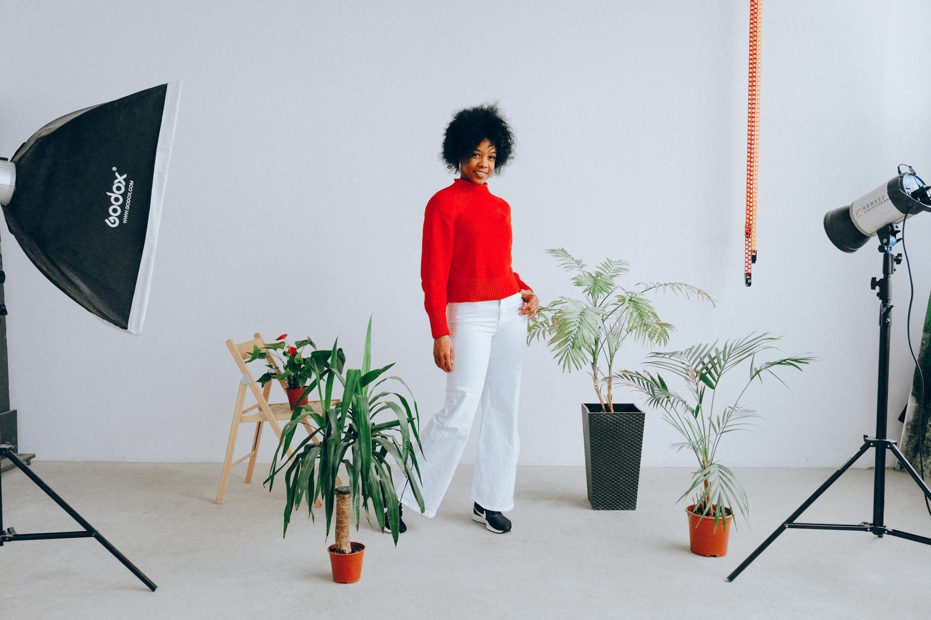 Studio plants